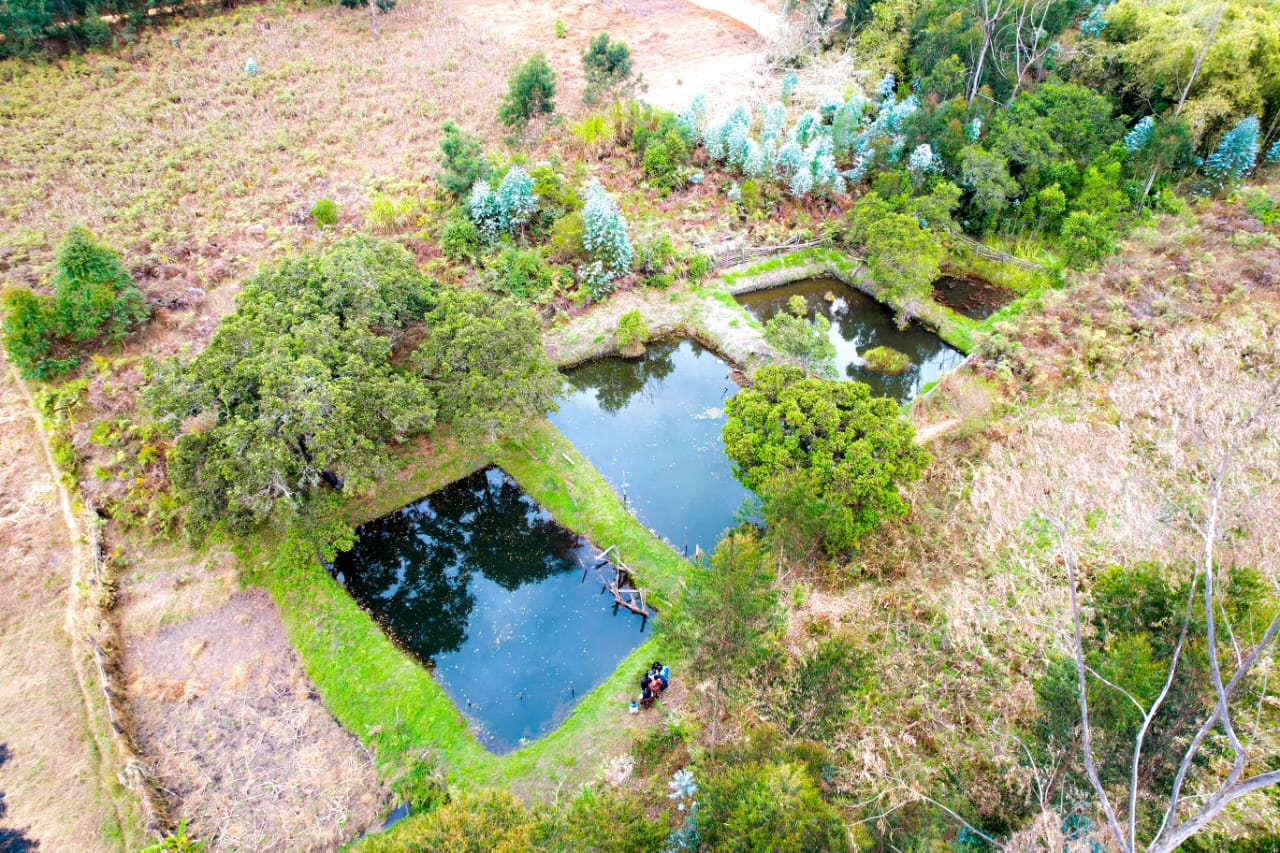 Fish pond project site and water source