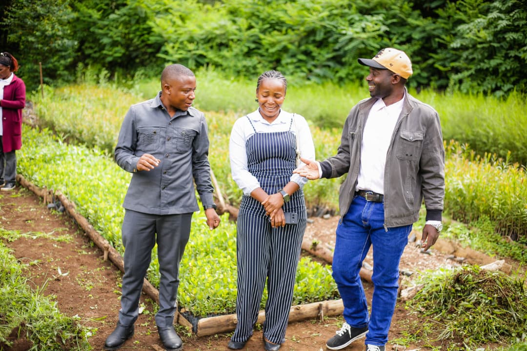 Stakeholders visiting a tree seedling nursery